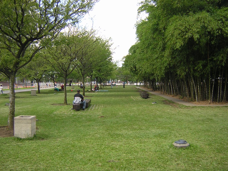 Lawns, young trees and a tall stand of bamboo in Parque de los Pies Descalzos, Medellín