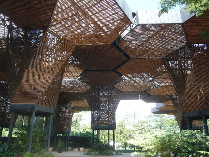 The honeycomb timber canopy of the Orquideorama at Medellín's botanical garden, with ferns and gardens beneath
