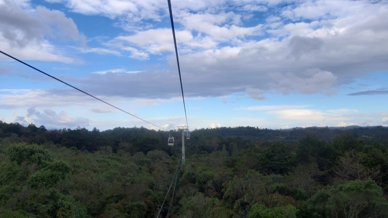 Cable car cabins of Metrocable Line L gliding over the forest of Parque Arví